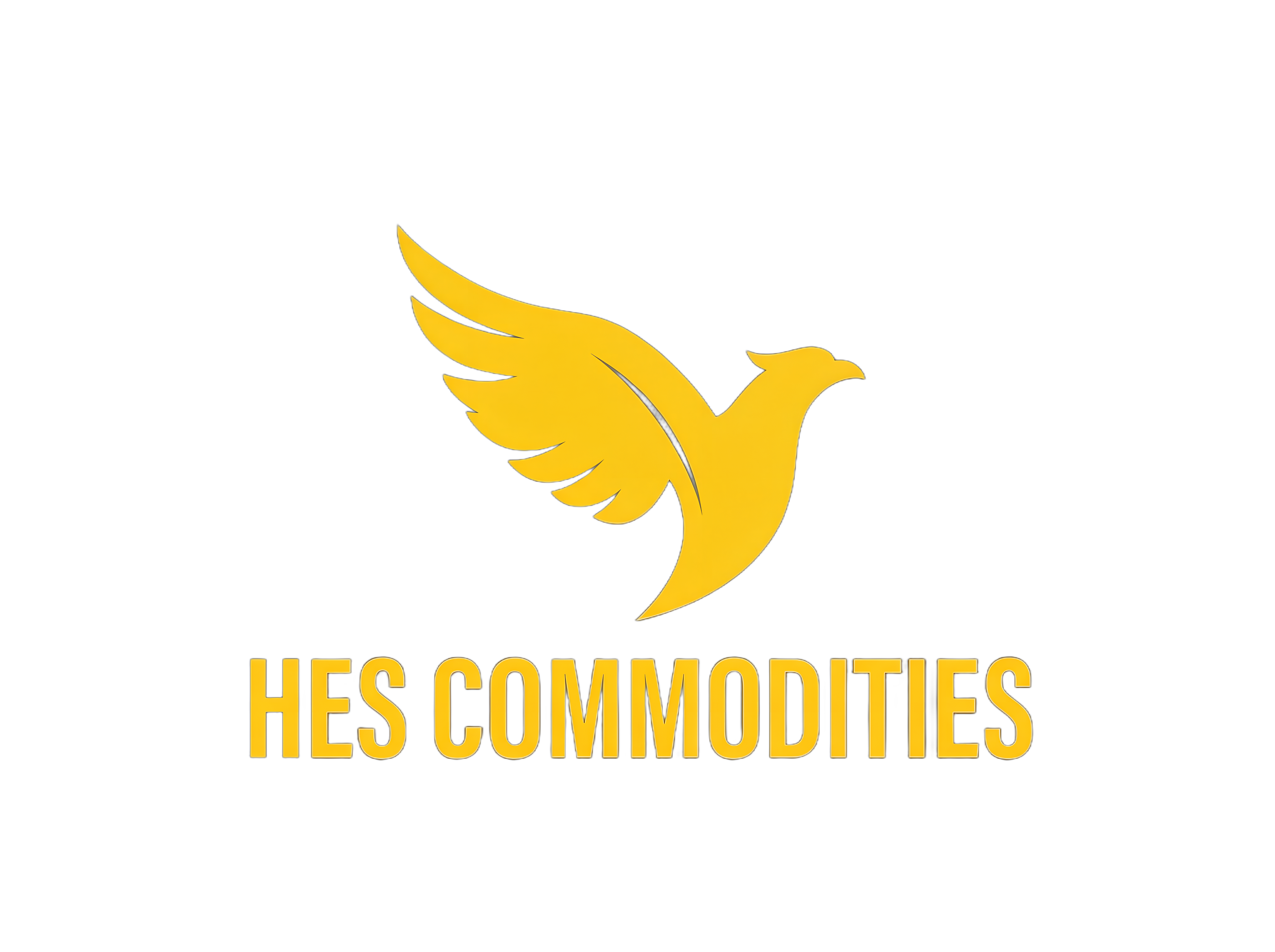 Hes Commodities Logo